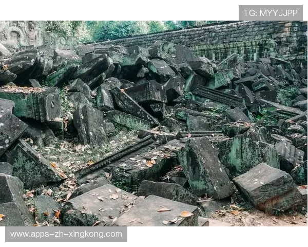 独行侠体系崩：新时代商业竞争的拐点