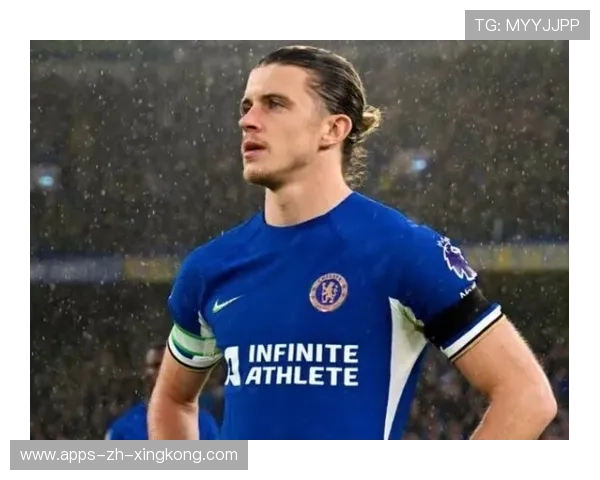 热刺加拉格尔远射入网